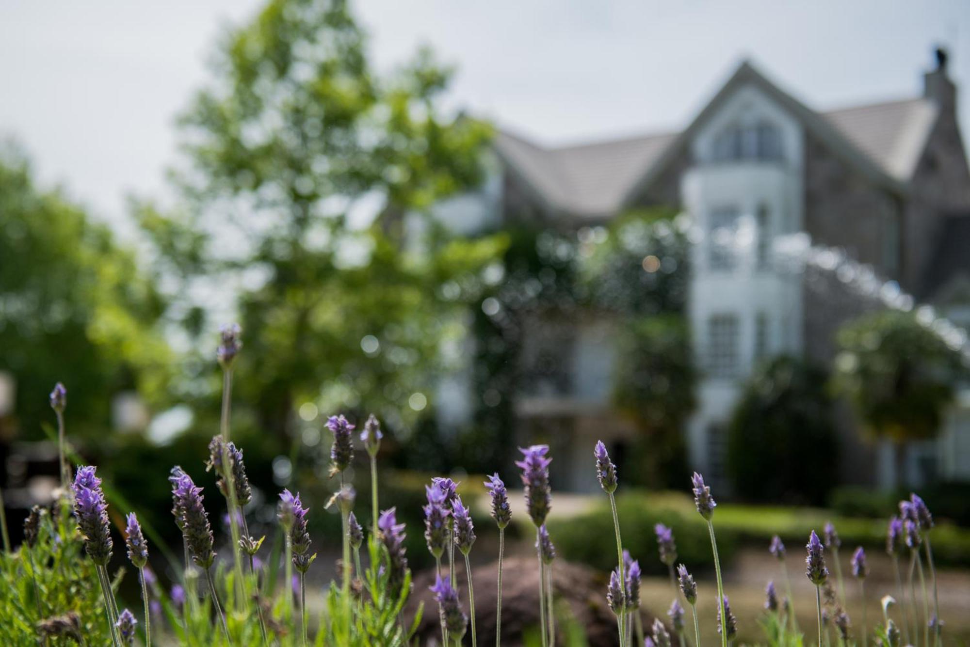 Hotel Castelo Saint Andrews Gramado Exterior foto